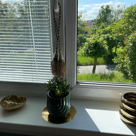 Modern In Center Of - Boncart * Prešov